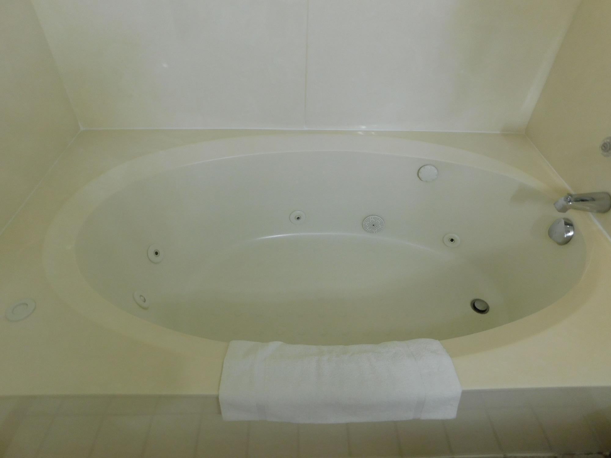 Carriage House Inn Брэнсон Экстерьер фото
